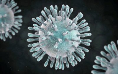 Coronavirus