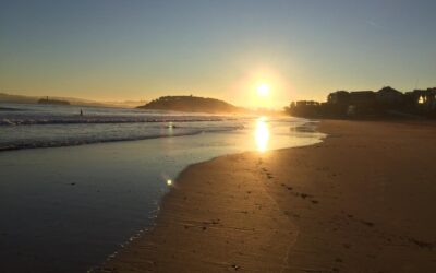 Reconstruir las bases