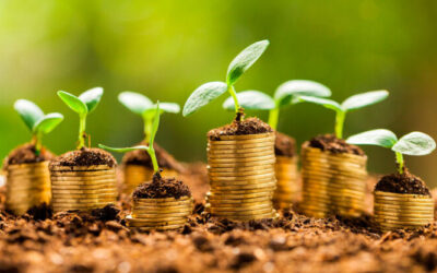 Lar anuncia una emisión de 300 millones en bonos verdes